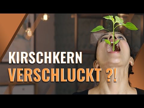 Video: Ein Mann Aus Ischewsk Hat Einen Baum In Der Lunge - Alternative Ansicht