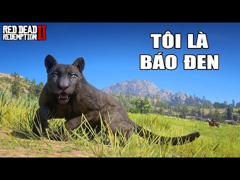 RDR2 nhưng Tôi Là BÁO ĐEN