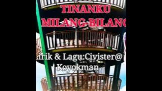 TINANKU MILANG BILANG //audio version-KOYOKMAN