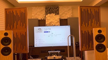 CSS 2TDX with el34 tube amp - woong san voice