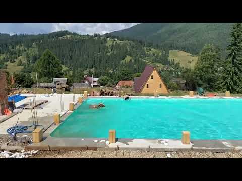 На курорте в Карпатах корова прыгнула в бассейн и искупалась на глазах у отдыхающих