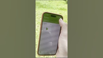 RainPoint Smart Watering Wifi Timer with 2 ZONES! Quick Look!