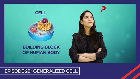 Learn with PGC | Smart learning EP 29 | Generalized Cell