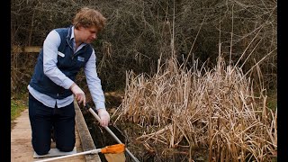 Pond dipping at RSPB Sandwell Valley