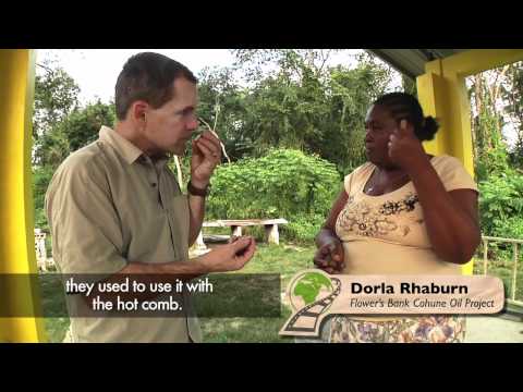 Video: Volgen Van Zwarte Brulapen In Het Community Baboon Sanctuary - Matador Network