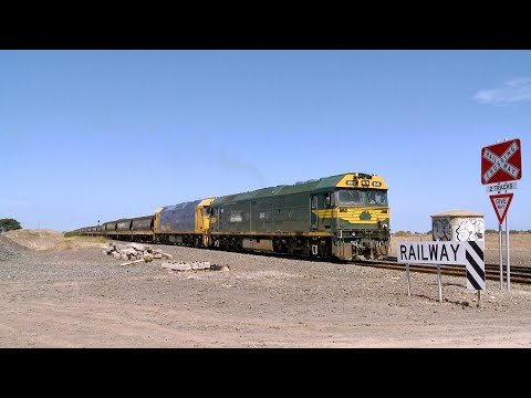 9157 Broad Gauge Pacific National Grain Train At Gheringhap (6/12/2023) - PoathTV Australian Railway
