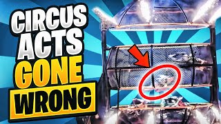 Circus Acts Gone Wrong Compilation