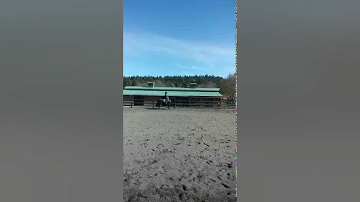 Christine Headley, trainer at Heron Pond Farm ridi...