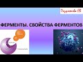 ФЕРМЕНТЫ. ОБЩАЯ БИОХИМИЯ. ЛЕКЦИЯ 2, часть 2