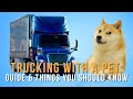 Trucking With a Pet?  Things you must know (Checklist, Restrictions, Pros, Cons, Dog vs Cat)