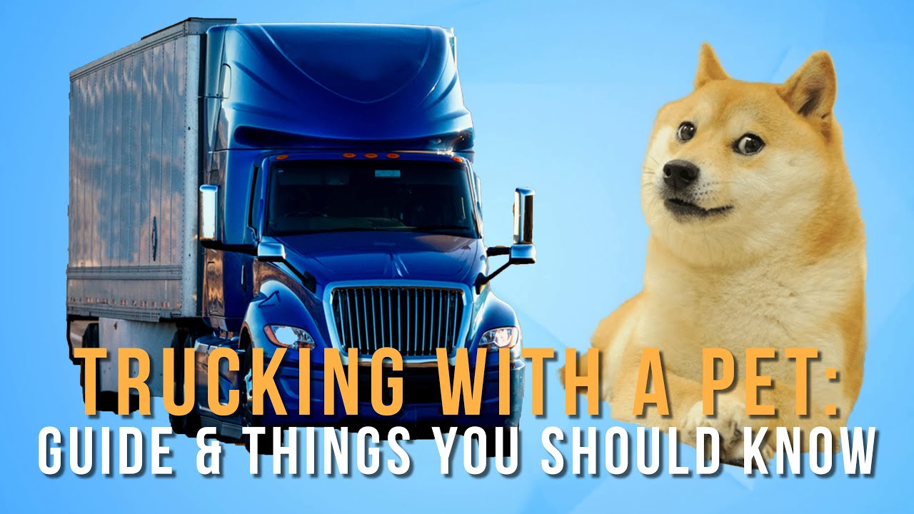 Are Pitbulls Good For Truck Drivers?