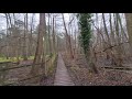 A chilly walk in January  (Nature Visualizer)