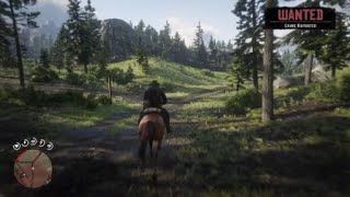 Red Dead Redemption 2   blowup a train