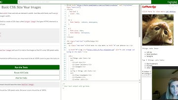 Basic CSS: Size Your Images