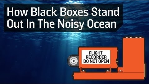 How Black Boxes Stand Out In The Noisy Ocean