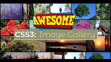 How to arrange different size Images horizontally | Image Gallery like google image | CSS Flex