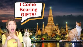 Meow's Your Day in Bangkok, Hooman? by MeloCat 372 views 2 months ago 11 minutes, 33 seconds