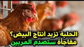 جبت ليكم الحل لي غادي اقضي على مرض الدجاج البلدي وصفة طبيعية غادي تخلي دجاجك قوي اتعطيه مناعة دائمة