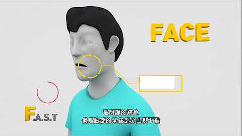 First Aid Kit 中文 英文词典 First Aid Kit 意思 解释