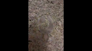 First time using the moshup app