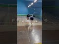 trying a new sport🤭💛🥰 #pickleball #pickle #sports #new #coach #vlog #dayinmylife #lesson #ball