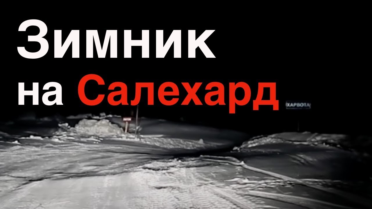 Осаго салехард телефон
