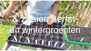 Ini's Moestuin #151 - Begin juli: 2e zaaironde zomergroenten & zaaien herfst- en wintergroenten