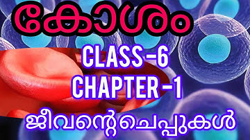 class-6-chapter -1- ജീവന്റെ ചെപ്പുകൾ - കോശത്തെ കണ്ടു പഠിക്കാം 😍