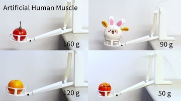 BIOGEM: A Fully Biodegradable Gelatin-Based McKibben Actuator with Embedded Sensing