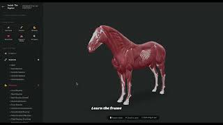 Interactive 3D Horse Anatomy: Inside The Equine Platform Tour screenshot 4