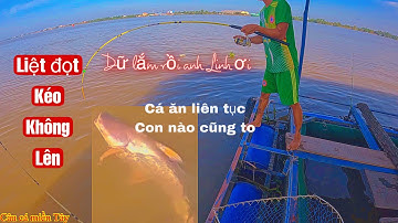 Tập 192: câu cá tra sông - đồng đội chạm trán ổ cá khủng, đứt dây, cong cần kéo khủng khiếp