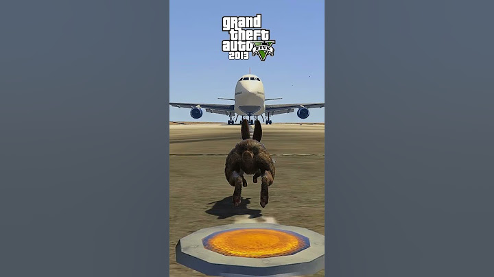 ¿Que Animales Pueden Pasar por Debajo del Avión en Todos los GTA?