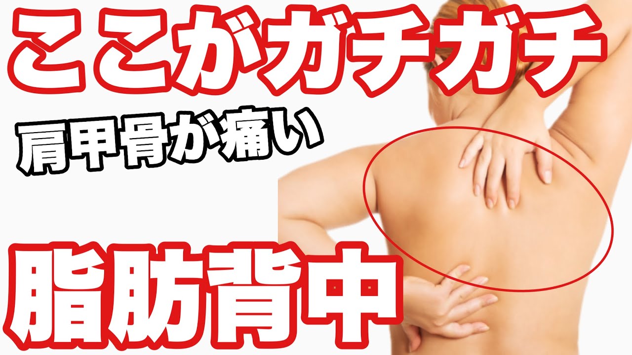 もっこり肩甲骨はがし 背中痛い 背中の脂肪を落とすマッサージ Beauty Max もっこり肩甲骨はがし 背中痛い 背中の脂肪を落とすマッサージ Beauty Max