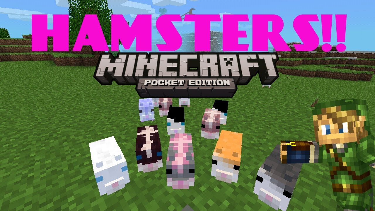 hamsters en minecraft pe review descarga youtube