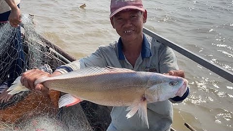 Săn bắt hai bộ môn và cái kết có món ngon miền tây | Cù Lao Dung Vlogs #343