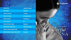 Popular Punya Srinivas & Veena videos - Playlist 