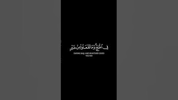 الحج أشهر معلومات بصوت القارئ فهد البواردي من سورة البقرة #سورة_البقرة #فهد_البواردي