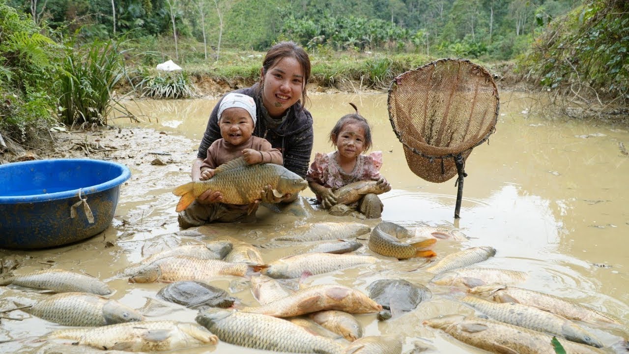 Single Mom Harvesting giant fish ponds to sell at the market with my ...