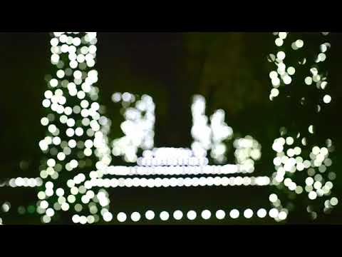 Holidays At Filoli Your Town Monthly