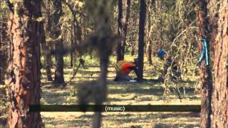 Forest Health Survey Phase 1: Field Sample Collection (subtitled) - November 2011