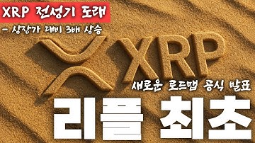 XRP 최초의 랜딩 프로토콜.... 내가 9,000USDT 투자한 이유