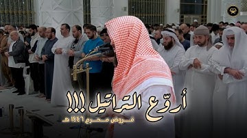 سورة المعارج تلاوة إبداعية بأداء آسر للشيخ أنس العمادي | عشاء 2 محرم 1447 هـ