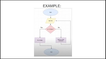 Release 8 | Conditional Statements Concept Video | Programming