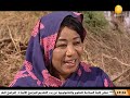 حكايات سودانية القرية التي تمشي على أربعة حكايات سودانية القرية التي تمشي على أربعة