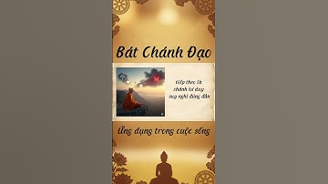 Giải Mã Bát Chánh Đạo Dễ Hiểu: Ứng Dụng 8 Con Đường Chân Chính Vào Đời Sống - Phần 2 #shorts