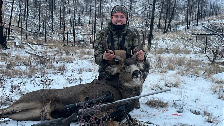 Solo Mule Deer Hunt - British Columbia