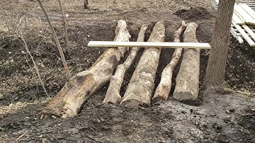 Log Bridge Series - Part 5 - Preparing Logs For Decking