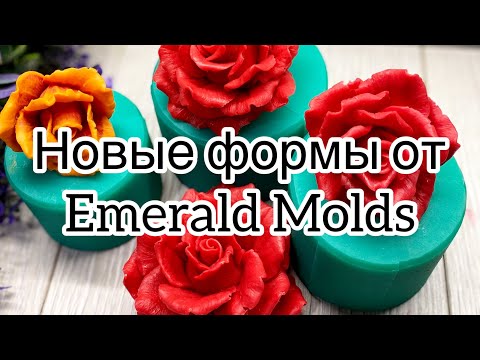 Новые формы от