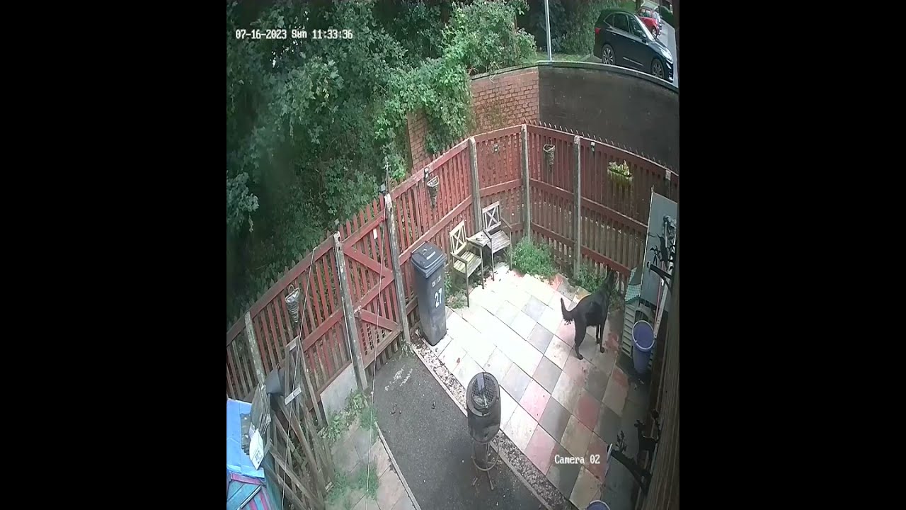 EVRI has successfully delivered your parcel (fail). Watch till the end..
