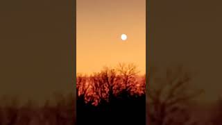 Orb Seen Over Springfield, Missouri 3/19/2026 #orbs #uap #alien